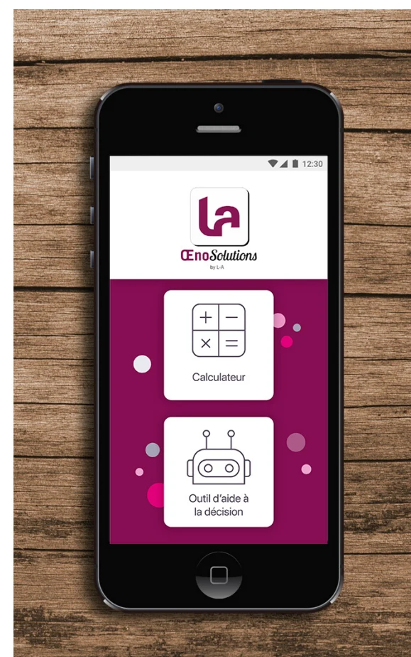 Lamothe-Abiet — réalisation Kasual Business